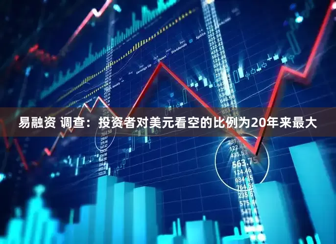 易融资 调查：投资者对美元看空的比例为20年来最大
