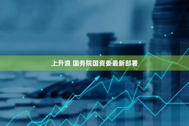 上升浪 国务院国资委最新部署