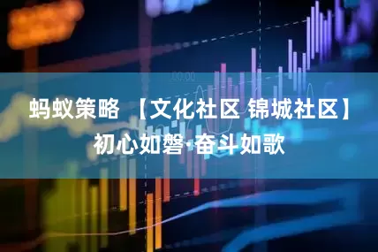 蚂蚁策略 【文化社区 锦城社区】初心如磐·奋斗如歌
