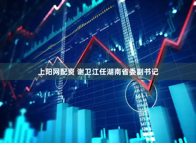 上阳网配资 谢卫江任湖南省委副书记