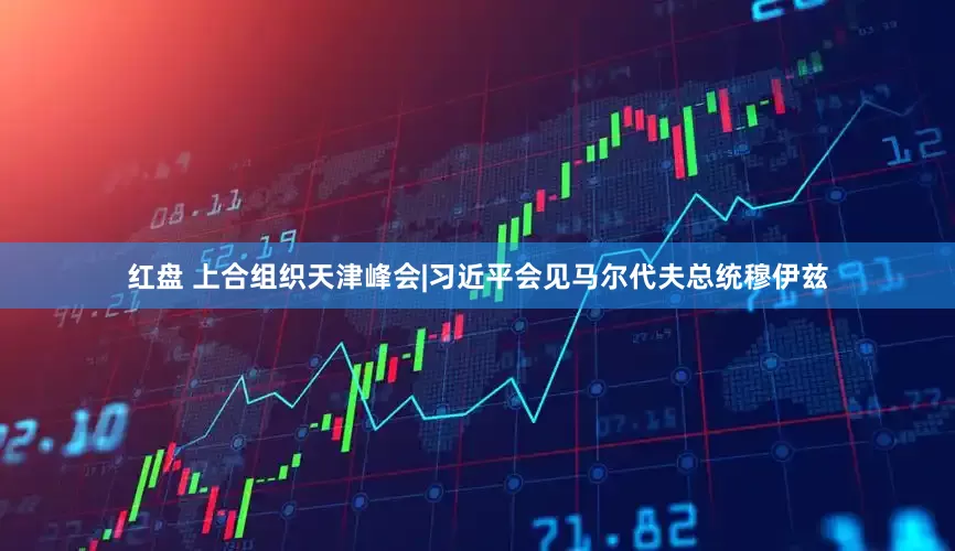 红盘 上合组织天津峰会|习近平会见马尔代夫总统穆伊兹