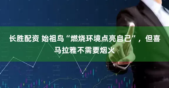 长胜配资 始祖鸟“燃烧环境点亮自己”，但喜马拉雅不需要烟火